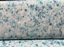 108in Sea Glass, Cotton Wide Back, P&B Textiles