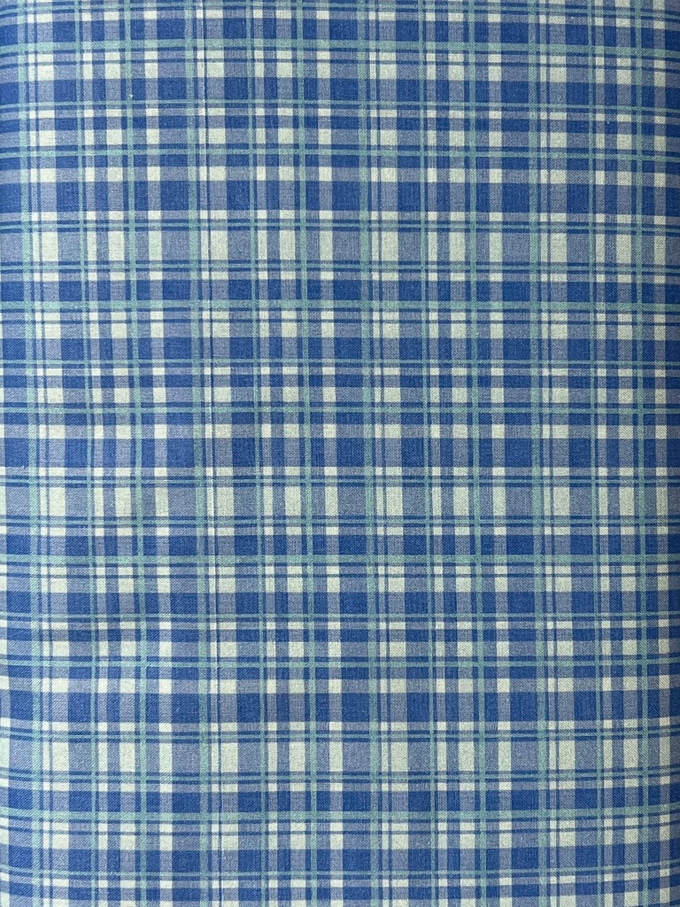 Blue Plaid Cotton Fabric, Vanessa Brantley Newton, We Are All Kinds of Wonderful, Michael Miller