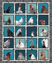 Chicken Panel, Zooming Chickens, SudioE Fabric