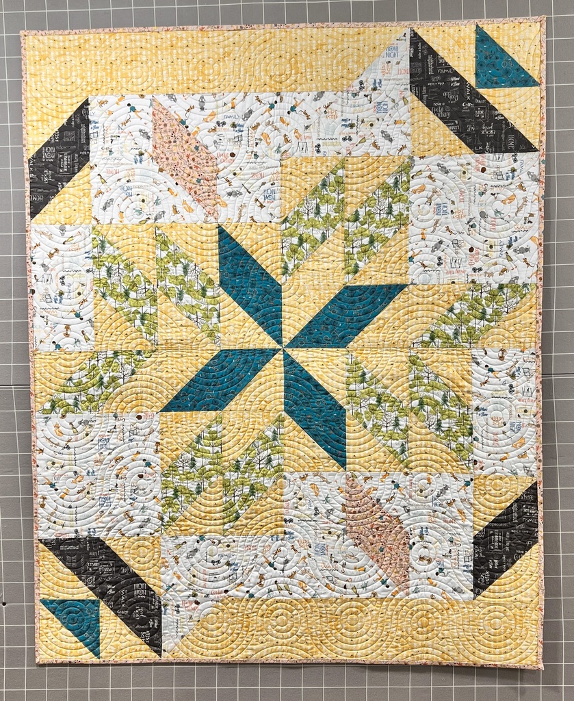 Around the Neighborhood Sample Quilt, 47" x 59",Windham Fabrics