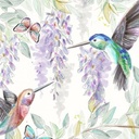 Hummingbird Digital Cuddle, Shannon Fabrics