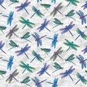 Large Dragonfly Grey, Ann Lauer, On Dragonfly Wings, Benartex Fabrics