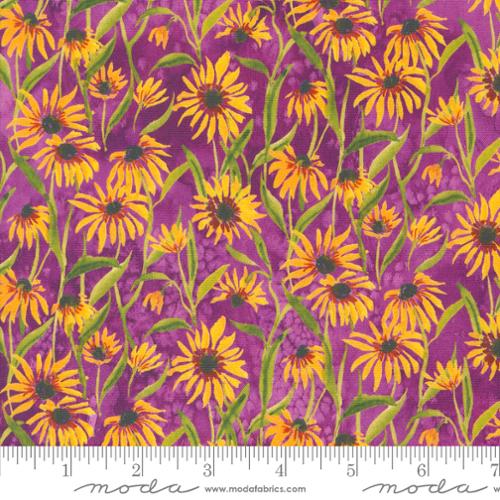 Sunflowers, Floribunda Violet, Create Joy Project, Moda Fabrics