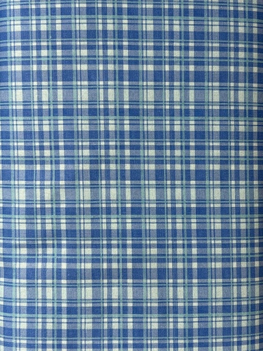 [DDC10205-BLUE-D] Blue Plaid Cotton Fabric, Vanessa Brantley Newton, We Are All Kinds of Wonderful, Michael Miller