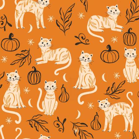 [20862-ORG-CTN-D] Cutsie Cats Orange, Too Cute To Spook, Natalie Adams, 3 Wishes